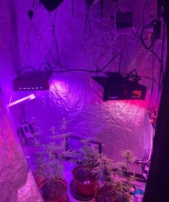 KingLED Newest 3000w LED Grow Lights with LM301B LEDs 4 * 2ft Coverage Full Spectrum Grow Lights for Indoor Hydroponic Plants Veg Bloom Greenhouse Growing Lamps 40 71g3Z4Tay0L