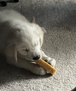 Himalayan Dog Chew Original Yak Cheese Dog Chews, 100% Natural, Long Lasting, Gluten Free, Healthy & Safe Dog Treats, Lactose & Grain Free, Protein Rich, Mixed Sizes, Dogs 65 Lbs & Smaller Yak Cheese - 3 sticks 3 Count (Pack of 1) 47 71g3vXfEzrL