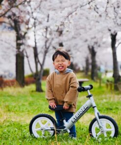 Strider 12” Pro Bike - No Pedal Balance Bicycle for Kids 18 Months to 5 Years - Includes Safety Pad, Padded Seat, Mini Grips, Flat-Free Tires & Number Plate - Tool Free Silver 21 71g48BQWSL