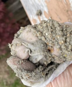 IMPRESA 10-Pack of Pool Skimmer Socks - Excellent Savers for Filters, Baskets, and Skimmers - The Ideal Sock/Net/Saver to Protect Your Inground or Above Ground Pool 29 71g54ekQIL