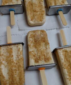 Onyx POP004 Stainless Steel Popsicle Mold 18 71g5BV6i3tL