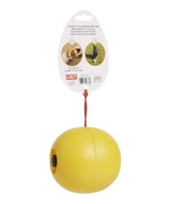 Lixit Chicken Feeder Toy (1 Pack) 1 Pack 9 71g5MBDwxL