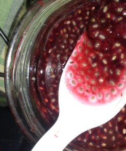 Healthworks Chia Seeds Raw (96 Ounce / 6 Pounds) | Premium & All-Natural | Contains Omega 3, Fiber & Protein | Great with Shakes, Smoothies & Oatmeal | Packaging May Vary 96 Ounce (Pack of 1) 26 71g5UAmRYL