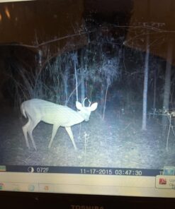 Wildlife Research Center Scrape Active-Scrape Combo 26 71g5kaKgN9L