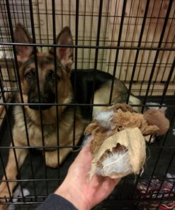 KONG Cozie Marvin Moose, Indoor Cuddle Squeaky Plush Dog Toy for Medium Dogs, Brown, 1 33 71g6b5yHlUL