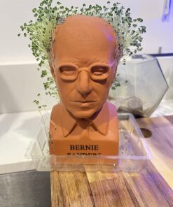 Chia Pet Bernie Sanders with Seed Pack, Decorative Pottery Planter, Easy to Do and Fun to Grow, Novelty Gift, Perfect for Any Occasion 12 71g7YkOpQCL