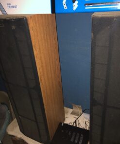 PYLE Wireless Bluetooth Karaoke Amplifier Home Car Bus Tours 300 Watts 2 Channel Digital Home Audio PA Receiver System 2 Microphone Input Control, FM Radio, USB,12 Volt Power Option Pyle PFA600BU 39 71g8YUeW0L