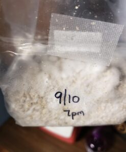 Brown Rice Flour Mushroom Substrate Grow Bag 15 71gBkIj9iHL