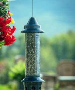 Squirrel Buster Plus Squirrel-proof Bird Feeder w/Cardinal Ring and 6 Feeding Ports, 5.1-pound Seed Capacity, Adjustable, Pole-mountable (POLE ADAPTOR SOLD SEPARATELY), Green 33 71gBrLms0rL