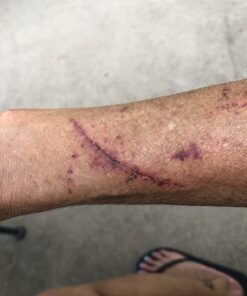 Zazzee High Strength Grape Seed 50:1 Extract, 20,000 mg Strength, 180 Vegan Capsules, 95% Polyphenols, 6 Month Supply, Concentrated, Standardized 50X Extract, 400 mg per Capsule, Non-GMO, All-Natural 32 71gEHFnfL