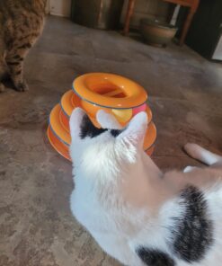 Catstages Tower of Tracks Interactive 3-Tier Cat Toy 29 71gFBokHOUL