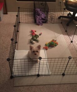 Dog Crates for Small Dogs - Dog Crate 20" Pet Cage Single-Door Best for Puppy & Kitten Pets - Wire Metal Kennel Cages with Tray - in-Door Foldable & Portable for Animal Out-Door Travel 20.0"L x 13.0"W x 16.0"H 31 71gIw67pXL 2
