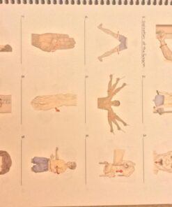 Trail Guide to the Body Student Workbook 13 71gMBRBGfkL