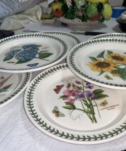 Portmeirion Botanic Garden Dinner Plate | Set of 6 Dinner Plates | Assorted Floral Motifs | Dishwasher, Microwave, & Oven Safe | 10.5 Inch | Made in England 20 71gMxs LL 1