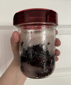 Fermenting Lids for wide mouth mason jars. 4 waterless airlock fermentation lids kit. Easy Grip fermenter lid with Oxygen Pump automatically Vents air. Tracks ferment date. (4 Lids + Pump) 30 71gN8e O2xL