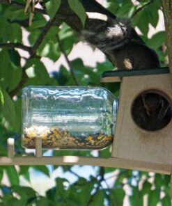 Birds Choice SNSQJAR Recycled Squirrel Jar Feeder, Squirrel Feeders, 7-1/4"L X 19"W X 15-3/4"H, Taupe w/ Green Roof 40 71gQWefHvDL