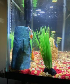 API AQUARIUM SALT Freshwater Aquarium Salt 67-Ounce Box (Packaging May Vary) 67 oz Aquarium Treatment 39 71gRpV58m1L