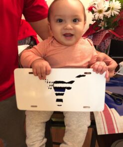 ORACAL 651 Glossy Vinyl - 24 Pack of Top Colors - 12" x 12" Sheets 29 71gRzckG11L