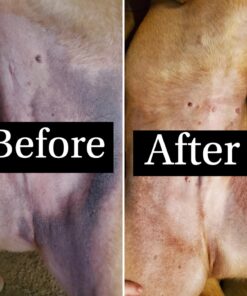 Pet MD Topical Wipes for Cleansing - with Aloe for Cats and Dogs - 50 Count 29 71gSeGBea2L