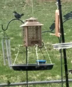 Stokes Select Bird Feeder, Metal Hopper Bird Feeder, 4 Feeding Ports, 3.6 lb Bird Seed Capacity, Copper Finish 39 71gT 1fiYL