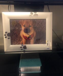 Skyway Puppy Dog Paw Print Pet Photo Picture Frame Silver - 5 x 7 23 71gTeXF7OUL