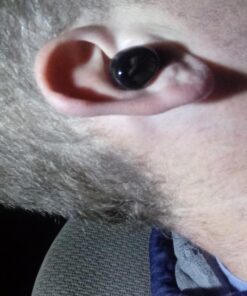 TOZO T6 True Wireless Earbuds Bluetooth 5.3 Headphones Touch Control with Wireless Charging Case IPX8 Waterproof Stereo Earphones in-Ear Built-in Mic Headset Premium Deep Bass Black Classic Edition 61 71gX62xzeNL