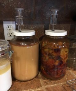 Home Brew Ohio One Gallon Wide Mouth Jar with Lid and Econolock (Set of 2) 5 71gXWK5ornL