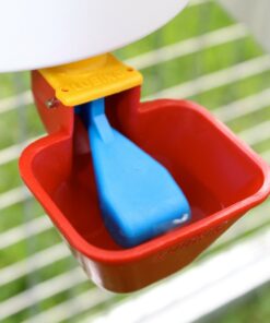 Royal Rooster Chicken Feeder and Chicken Waterer Set - 7 lb Poultry Chicken Feeder with Rain Cover and 1 Gallon Waterer System - Chicken Coop Accessories: Valve-Cup Waterer and Gravity-Feed Feeder Set 1-Cup Waterer 22 71gYQ6rD9AL