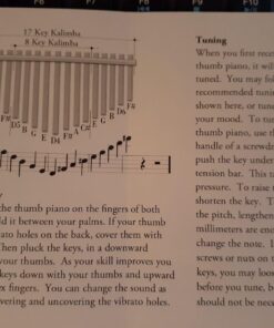 Alternative view of DOBANI Thumb Piano, Large 17 Key Rosewood