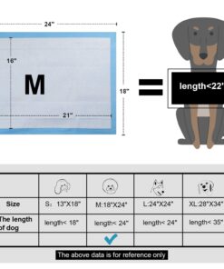 Petphabet 64 Count Puppy Pads 18 by 24 Inches,Dog Training Potty Pee Pads 60-Count 10 71gbr7qptL