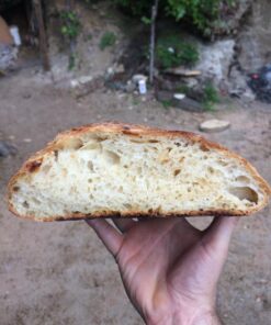 Peter Reinhart's Artisan Breads Every Day Hardcover 27 71gcGOkBAL