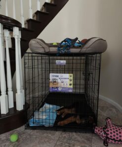 MidWest Homes for Pets Newly Enhanced Single Door iCrate Dog Crate, Includes Leak-Proof Pan, Floor Protecting Feet, Divider Panel & New Patented Features iCrate; Single Door 48.0"L x 30.0"W x 33.0"H 36 71gg1aeG8XL