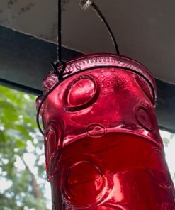 More Birds Red Jewel Hummingbird Feeder, Glass Hummingbird Feeders for Outdoors, 5 Feeding Stations, 20 Ounces Standard Packaging 31 71ggAAT4JGL