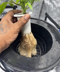 General Hydroponics RapidStart, Plant Food, 1-0.5-1, 125 mL. 37 71ggEU O1HL