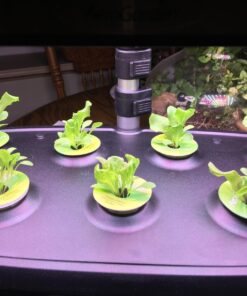 AeroGarden Salad Greens Mix Seed Pod Kit, 7 pod 40 71ggFHfbozL