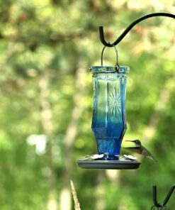 Perky-Pet Sapphire Starburst Vintage Glass Hummingbird Feeder 8129-2 17 71ghY U4tzL