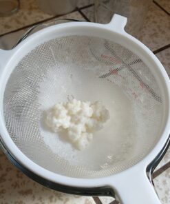 Live Milk Kefir Grains - Live Probiotic Culture Mr. and Mrs. Kefir Instructions 23 71gjgsw71nL