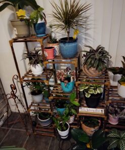 SUMMIT CHEMICAL CO 117-6 30OZ Mosquito Bits 37 71gjtqFQR L