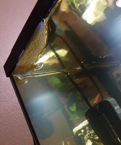 SunGrow 50 pcs Catappa Indian Almond Leaves for Betta Fish Tank Aquarium, 2” Water Conditioner Leaves, Leaf Also Suitable for Shrimp, Goldfish, Guppy and Frogs 50 Leaves 65 71gl6GN3lGL