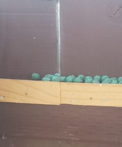 Neogen Ramik Green Fish Flavored Weather Resistant Rodenticide Nuggets, 4 lb bag 4-pound pouch 46 71gm l2ACkL