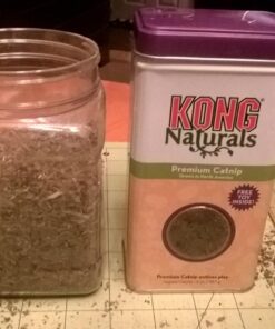 KONG - Naturals Premium Catnip - Premium North American Grown - 2 Ounce 64 71gnKXOlLpL