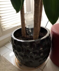 Blumat Bottle Adapter (3 Pack): Self Watering Spikes/Houseplant Watering Stakes, Automatic Irrigation System, Use When On Vacation,Terracotta Spikes to use with Recycled Plastic Water Bottles (3 Pack) 24 71gqa42ZjBL