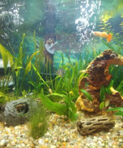 Seachem Flourish Excel 500 ml 56 71gt1G2x2AL