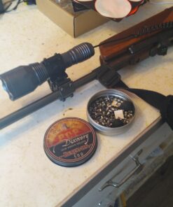 Benjamin BHP22 Hollow Point Pellets, 0.22 (500-Count) 15 71gtuNgLo8L