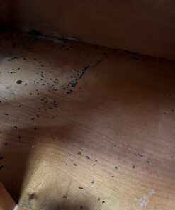 Neogen Ramik Green Fish Flavored Weather Resistant Rodenticide Nuggets, 4 lb bag 4-pound pouch 48 71gvMSdmp8L