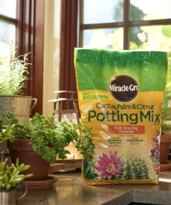 Miracle-Gro Cactus, Palm & Citrus Soil - For Containers , Added Fertilizer Feeds for 6 Months, 8 qt. Potting Mix 25 71gvWGmGaLL