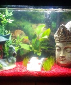 Alternative view of Penn-Plax Buddha Head Fish Tank Decoration Ornament