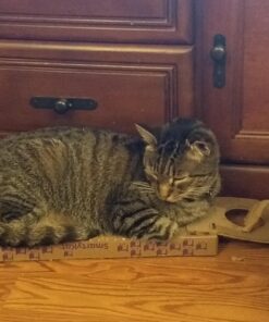 SmartyKat Scratch Up Corrugated Hanging Cat Scratcher, Catnip Infusion Technology - Brown, Single Wide Scratch Up (Catnip Infused) Single Pack 34 71gy8EO71L