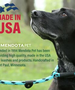 Mendota Pet Slip Leash - Dog Lead and Collar Combo - Made in The USA - Orange, 3/8 in x 6 ft - for Small/Medium Breeds 11 71gyJwcvnqS