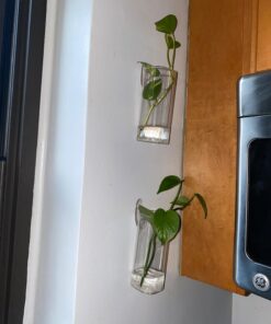 Command Medium Wall Hooks, Damage Free Hanging Wall Hooks with Adhesive Strips, No Tools Wall Hooks for Hanging Christmas Decorations, 7 Clear Wall Hooks and 12 Command Strips 42 71gyxYpegL